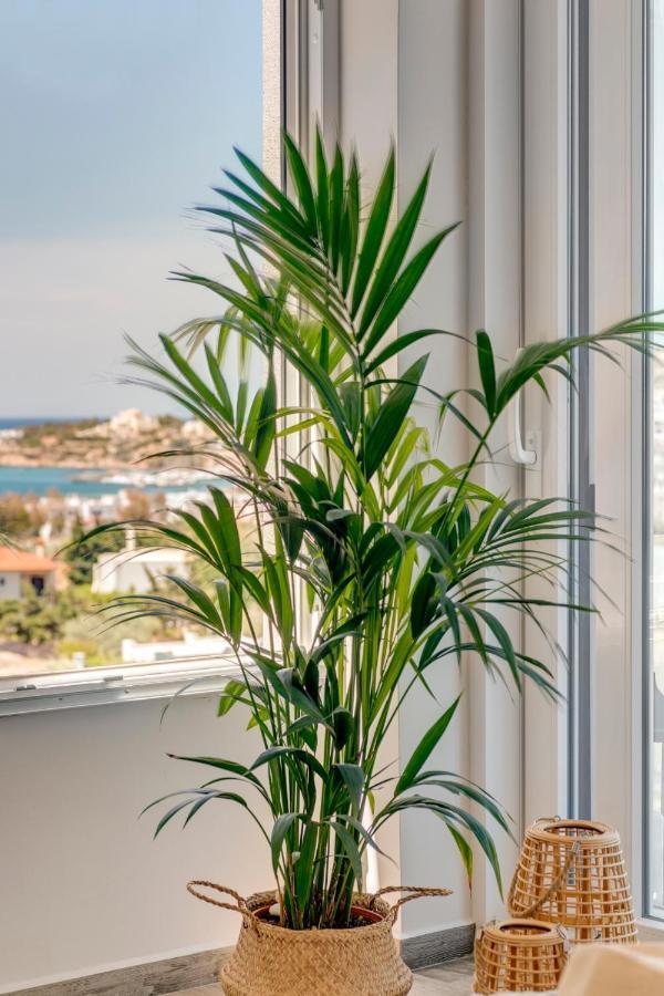 Villa Mare Syros Finikas  Exterior foto
